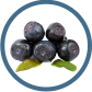 image  blueberries North Carolina Blueberry Council