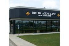 Logo for DD Cox Agency Logo for DD Cox Agency