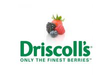 Logo for Driscolls Logo for Driscolls